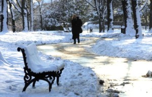 Sneg-u-parku