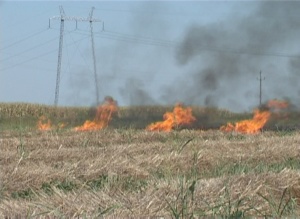 Pozari na njivama tokom leta2286