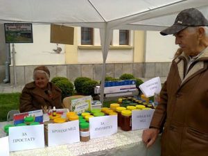 11147096_10205685414406662_1758149567448171334_n