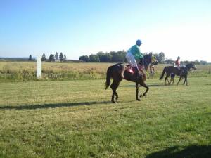 1960023_560684677395548_866561436885244382_n