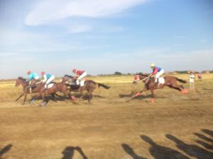 11792163_1008163562540966_3944911152888351653_o