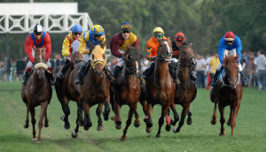 kasaci-i-galoperi-danas-u-pozarevcu