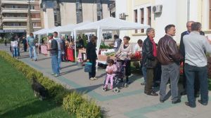 12038491_833414626728449_7551844655332253942_n