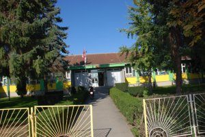 os-nikola-tesla-bogatic