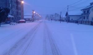 12483897_10207531258311606_1194336538_n