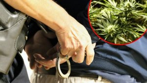 Hapsenje-marihuana-620x350