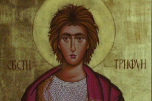 svtrifun_1455404192_670x0