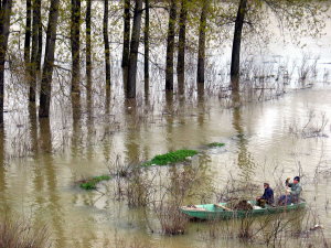 1772e5e461c67a745b9b308acd4bd8c7