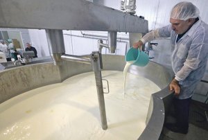 melkara-foto-profimedia-1459290769-875347