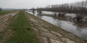 polava
