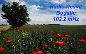 10153038_1142455659100648_5457948744336442903_n