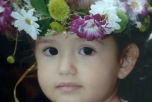 vrbica-cvece-lazareva-subota-foto-d-vujsic-1461318327-891729