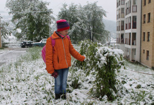 Nova-Varos-majski-sneg-03-1