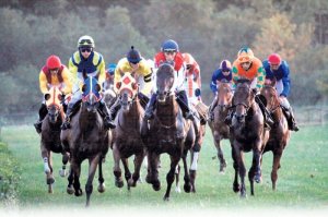 hipodrom-konji-memorijala-kralja-aleksandra-1328585176-98663