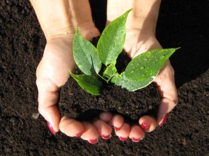 1338876152-zastita-zivotne-sredine