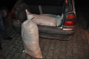 15556101_1146298228819606_269649731_n