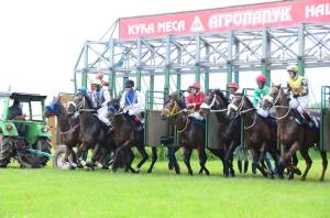 18300964_1842559836067795_4726451559226332392_n