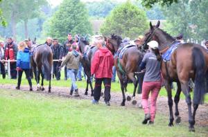 18341922_1842558486067930_4792988151130637089_n