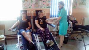 20991708_366595513758844_366805344_o