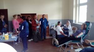 22251337_384629465288782_148003235_o