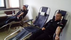 23633263_399424290475966_1253466670_o