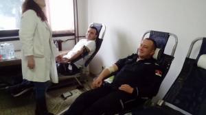 23660509_399424297142632_1749984826_o