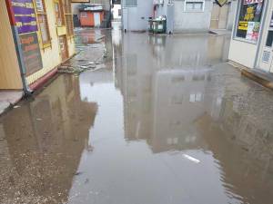 25445077_10213553825032010_23844491_o