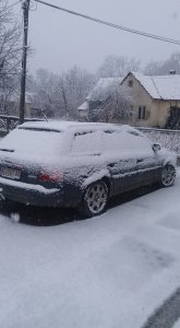 28001031_10214030824476698_635583505_n