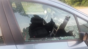 36296957_10215087728258632_5863573516678332416_n