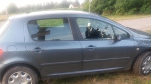 36316220_10215087728378635_8252885036286607360_n