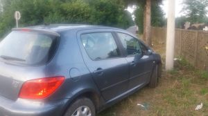 36389708_10215087728778645_1826457081964658688_n